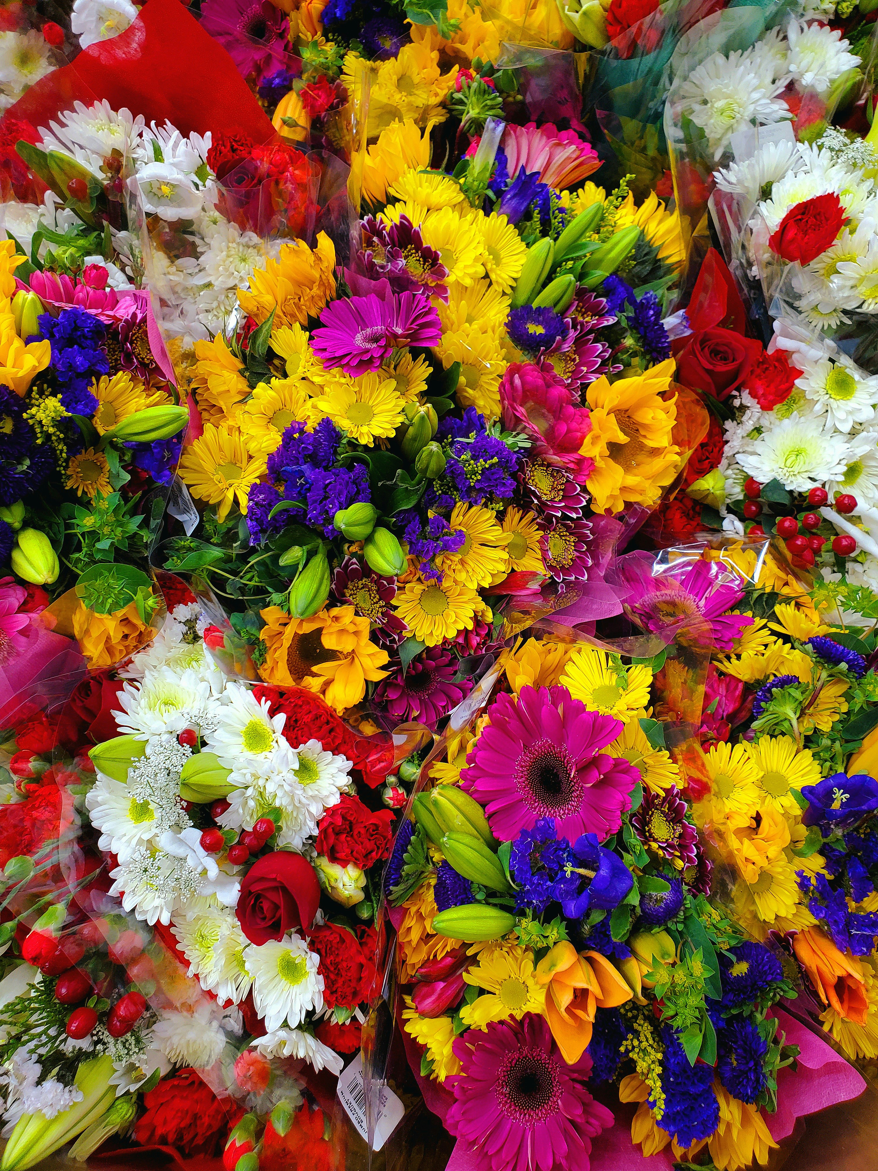 Photo by karolinabobek