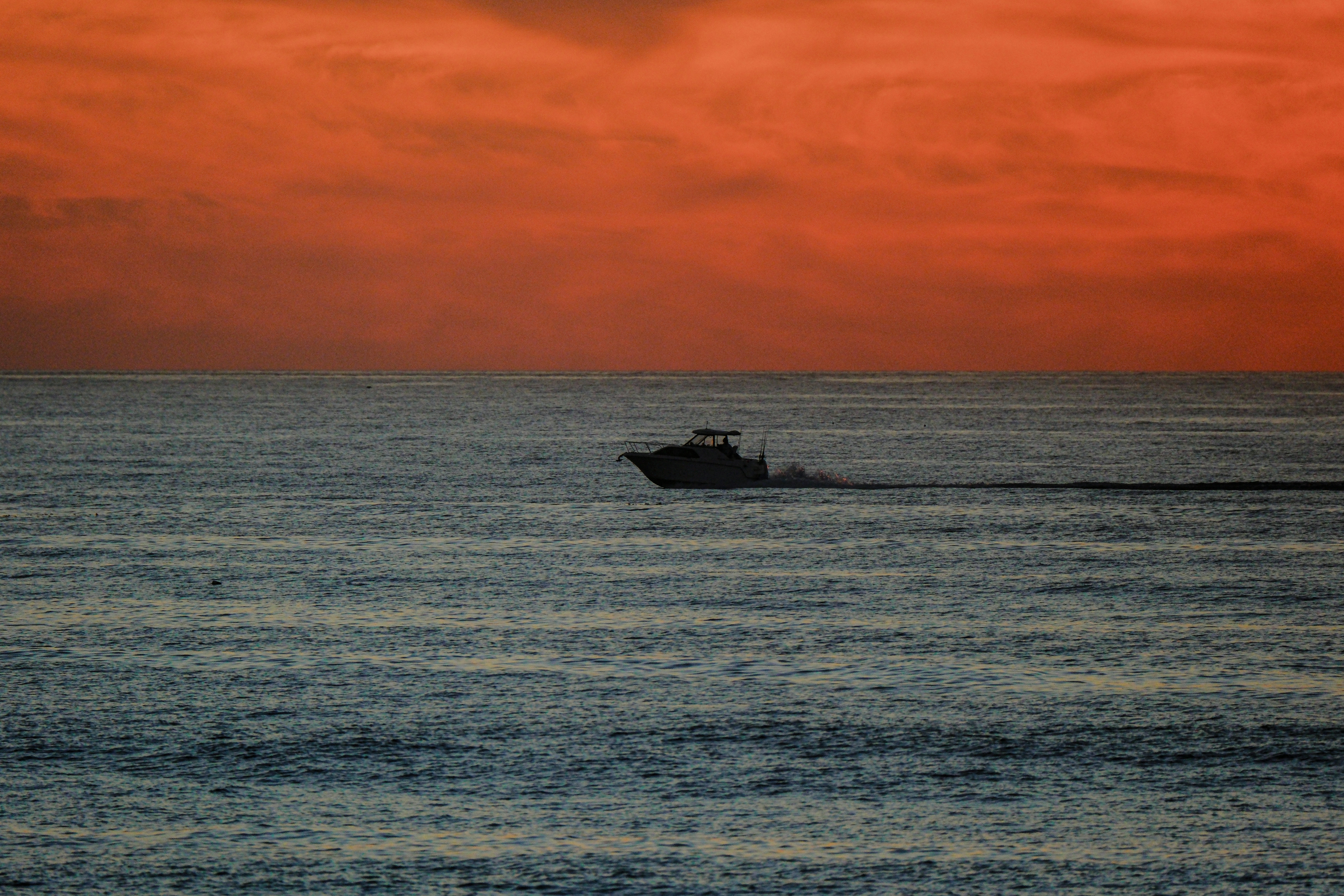 Photo by cestmoisheedy