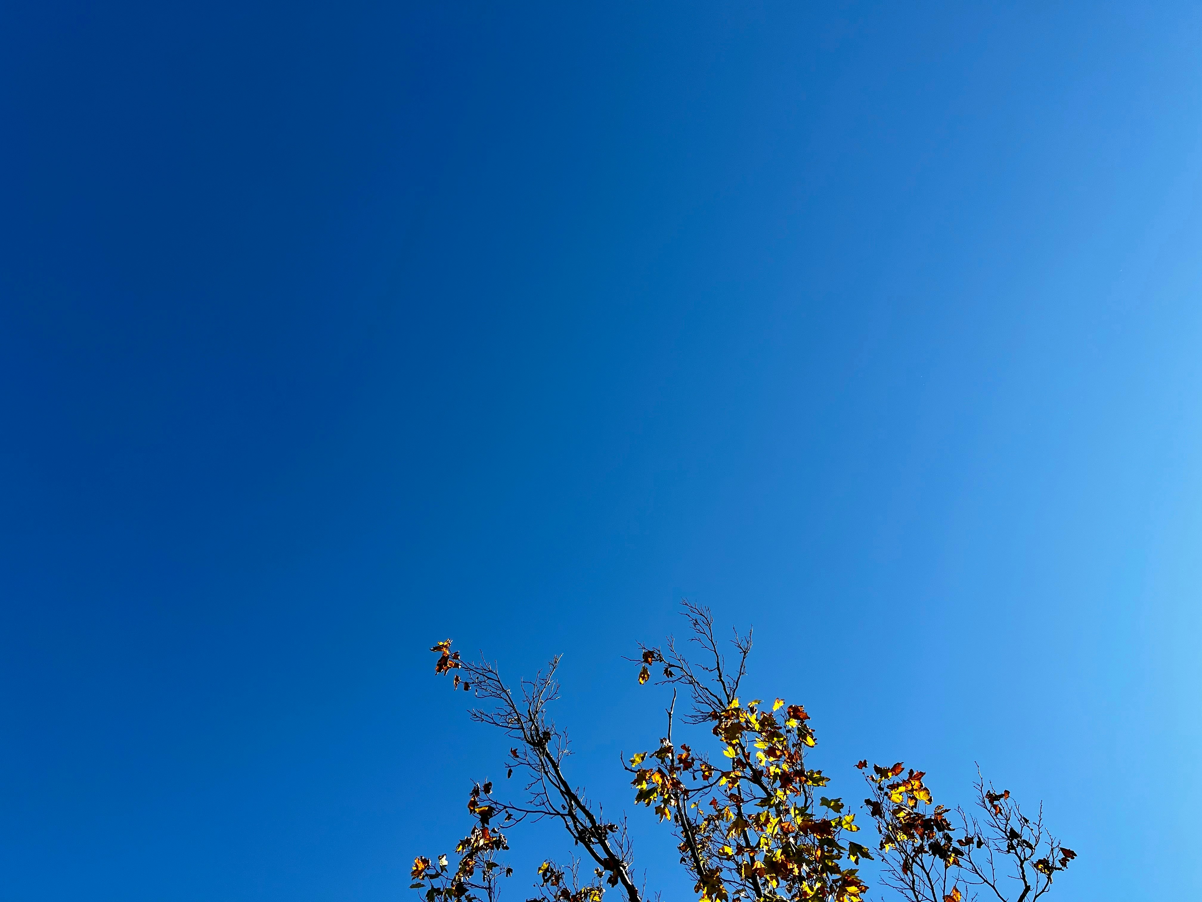 a clear blue sky with a few clouds