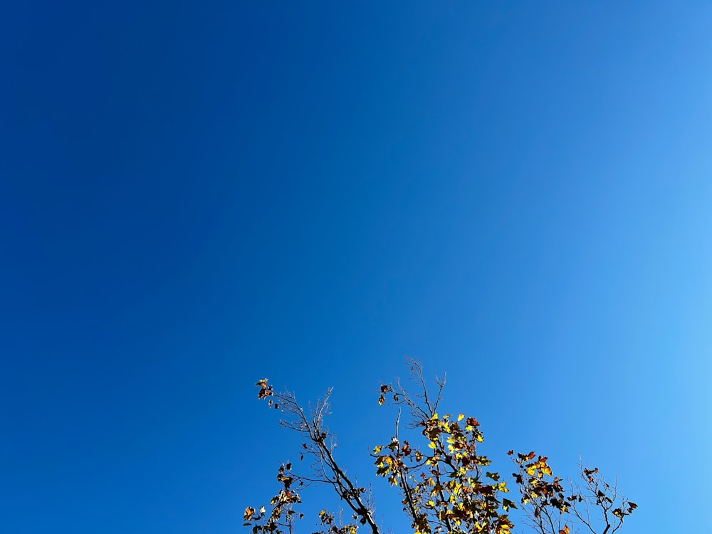 a clear blue sky with a few clouds