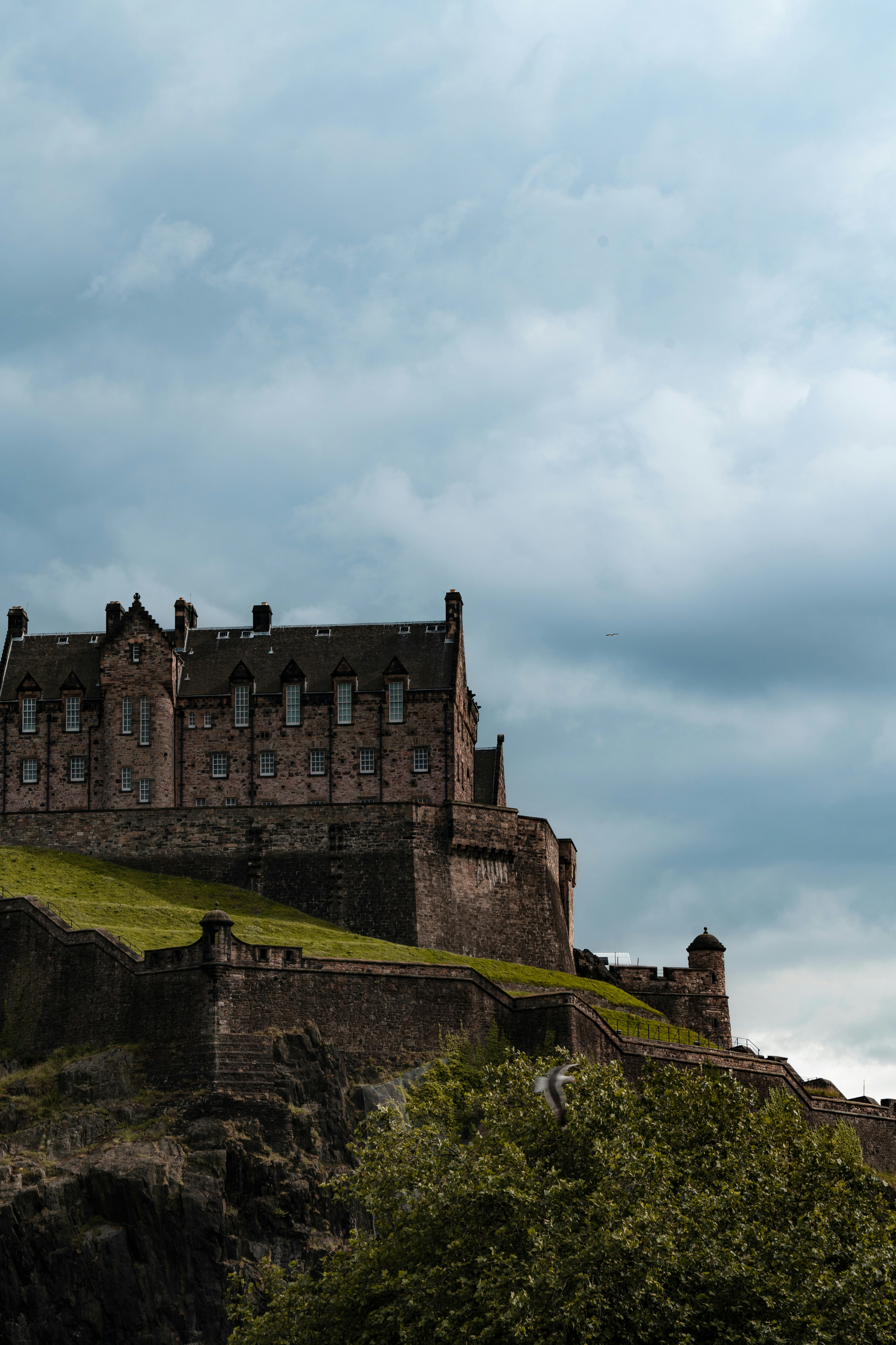 Photo by winstontjia