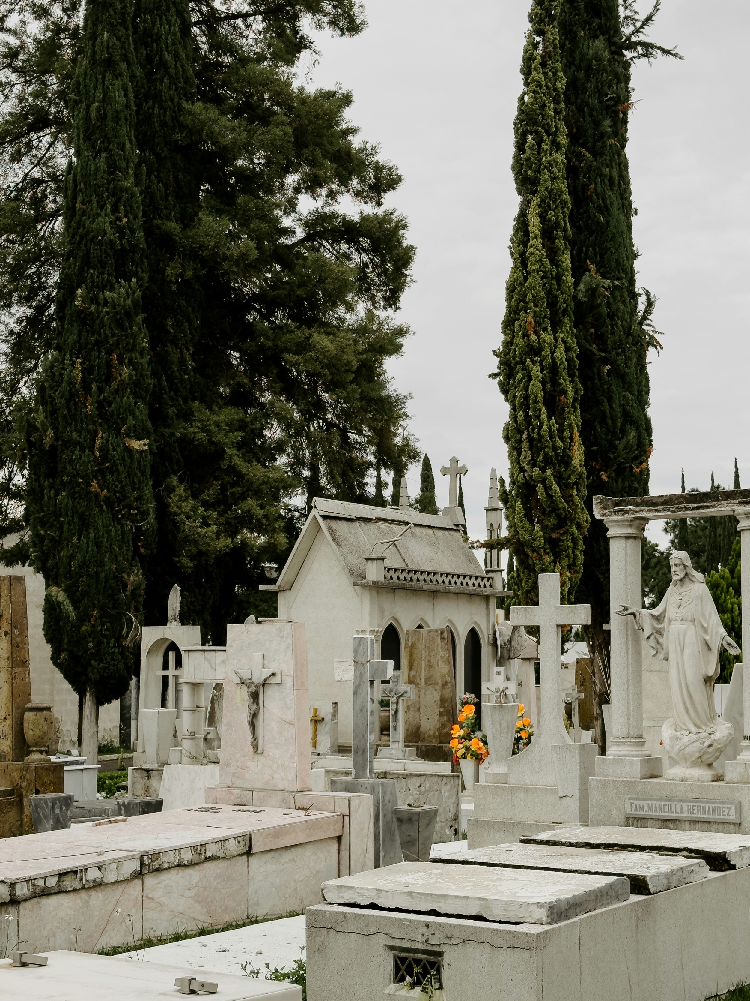 Photo by brunocervera