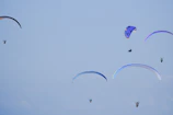Wide shot of colorful paragliders soaring together above green valleys and rocky ridges.