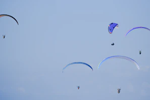 Wide shot of colorful paragliders soaring together above green valleys and rocky ridges.