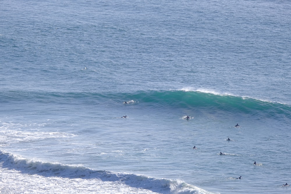 a group of people riding waves on top of surfboards