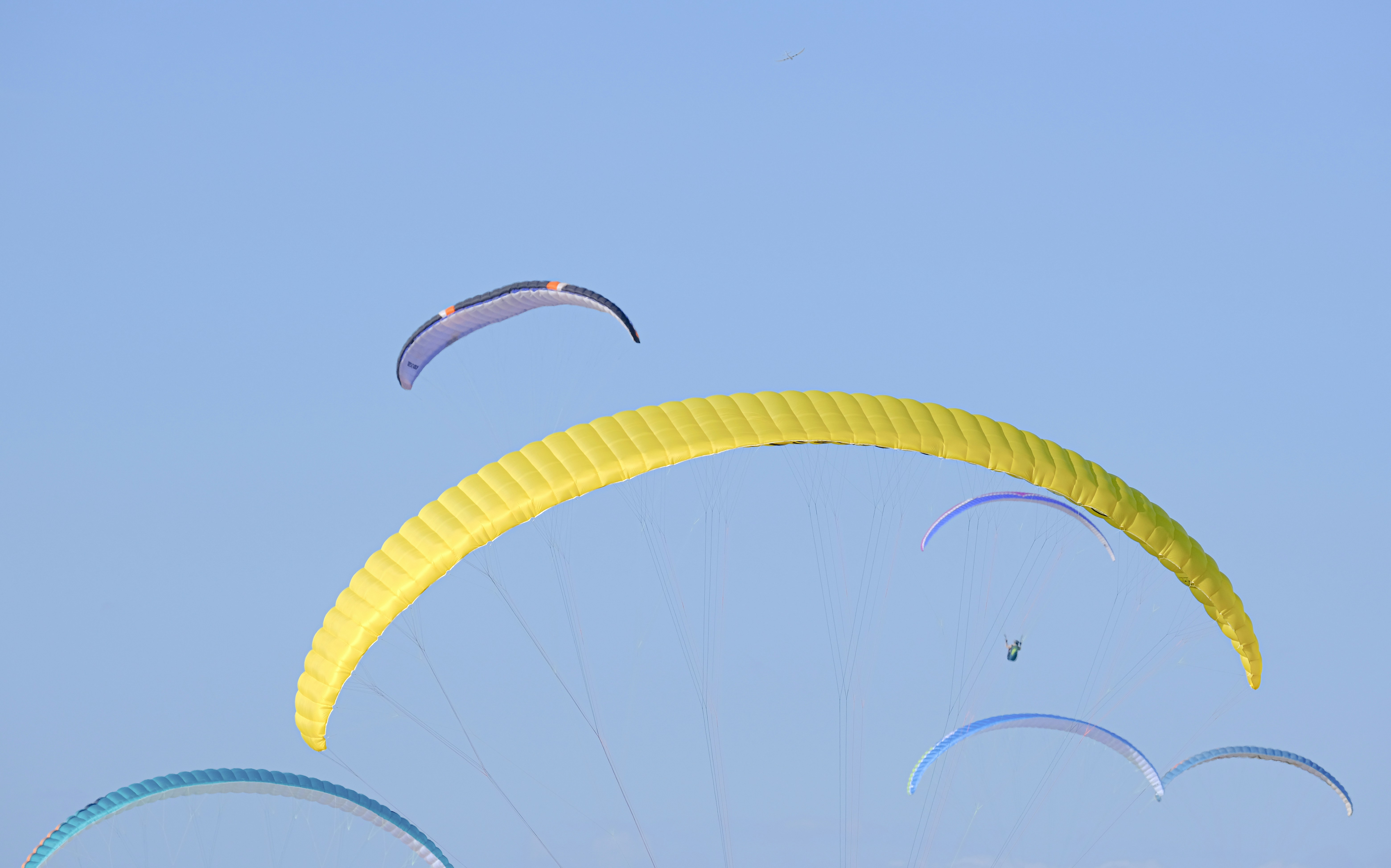 Photo by cestmoisheedy