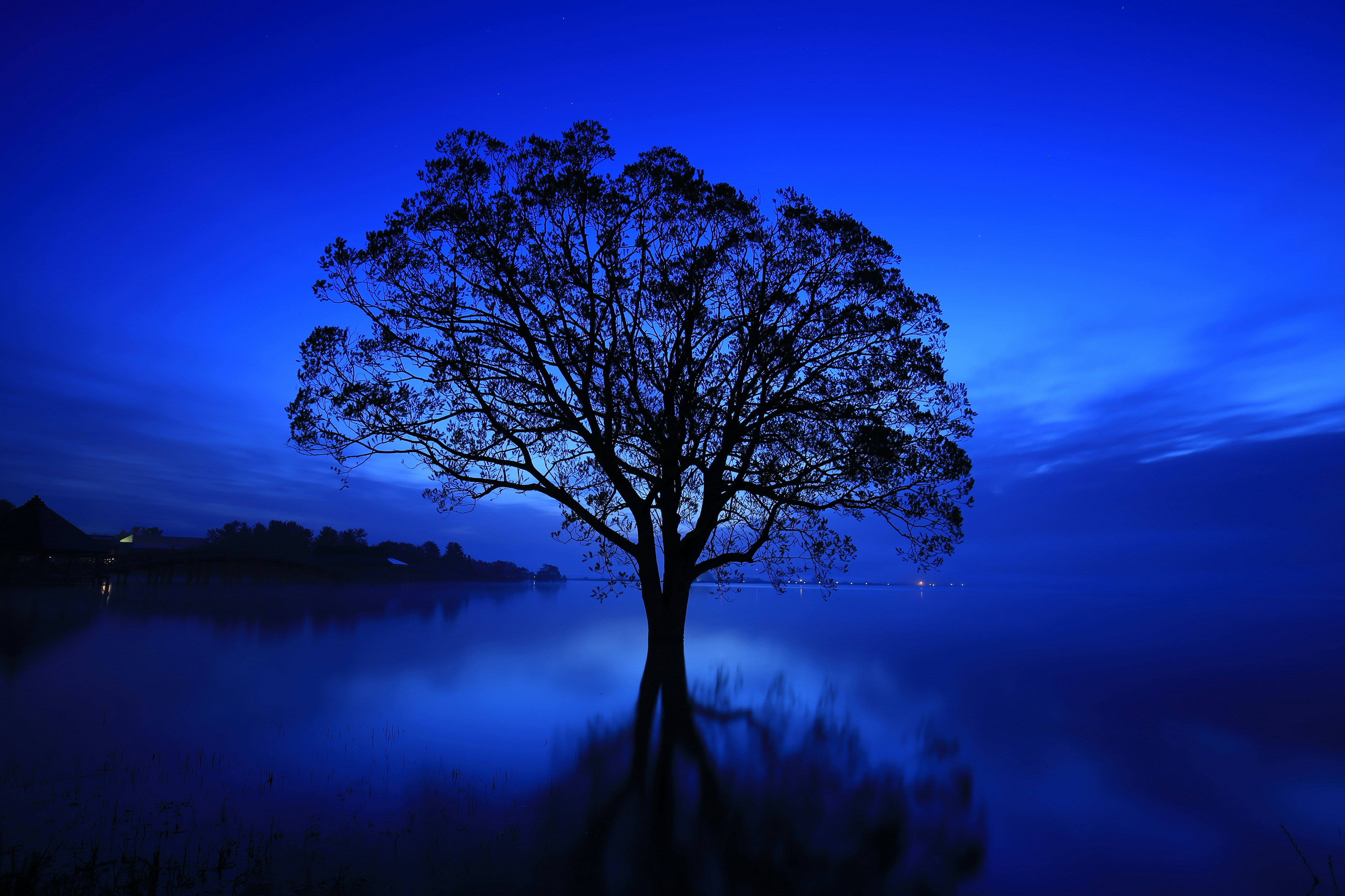 Photo by juntarou555