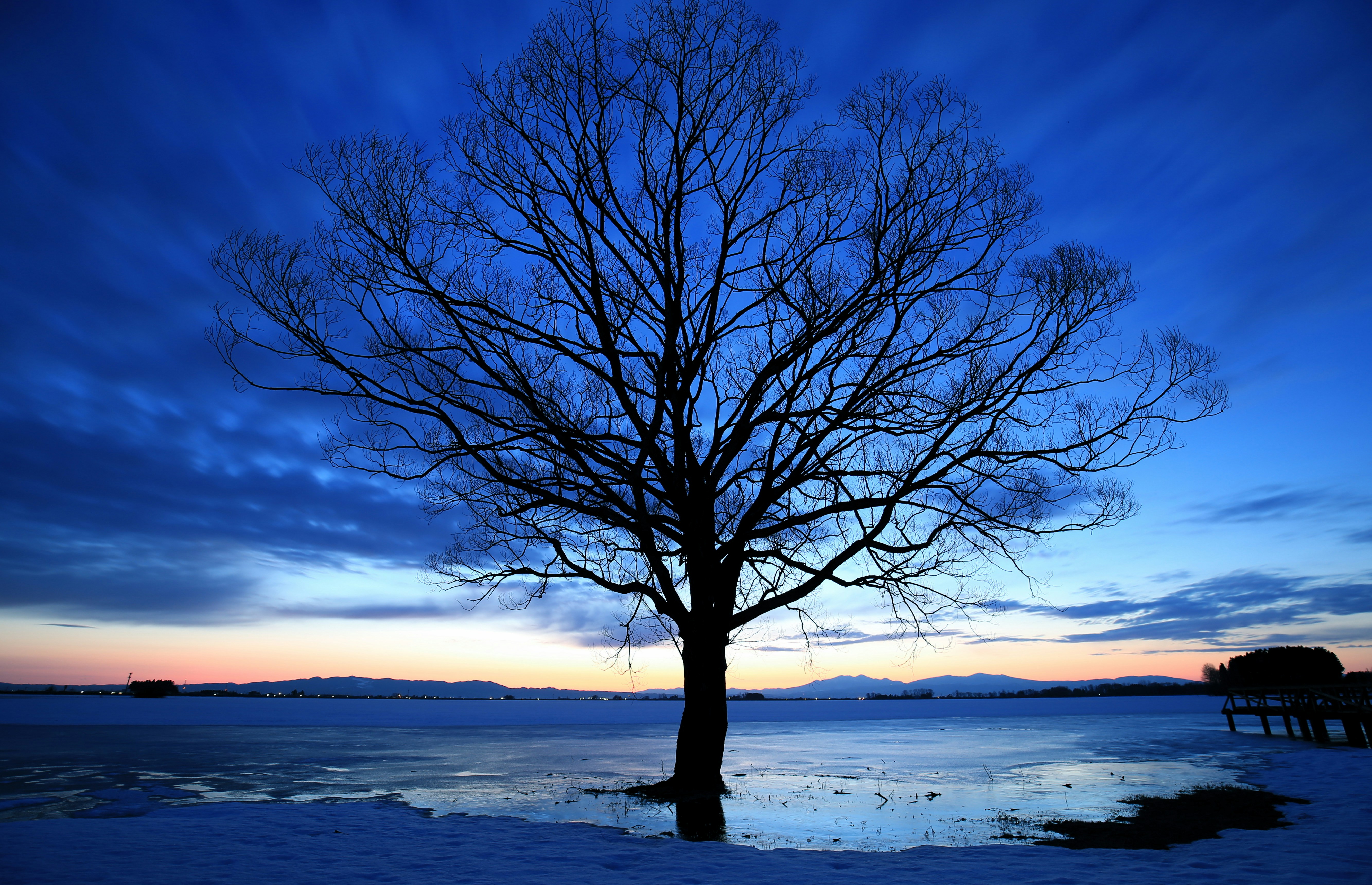 鹿島 アントラーズ ユニフォーム  アウェイ