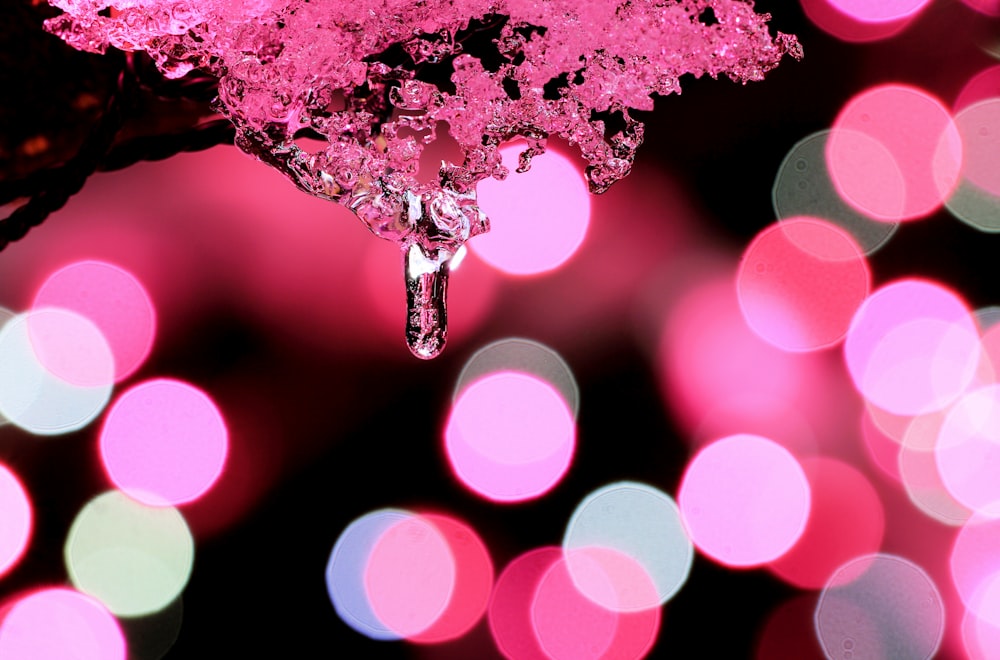 una gota de agua colgando de la rama de un árbol