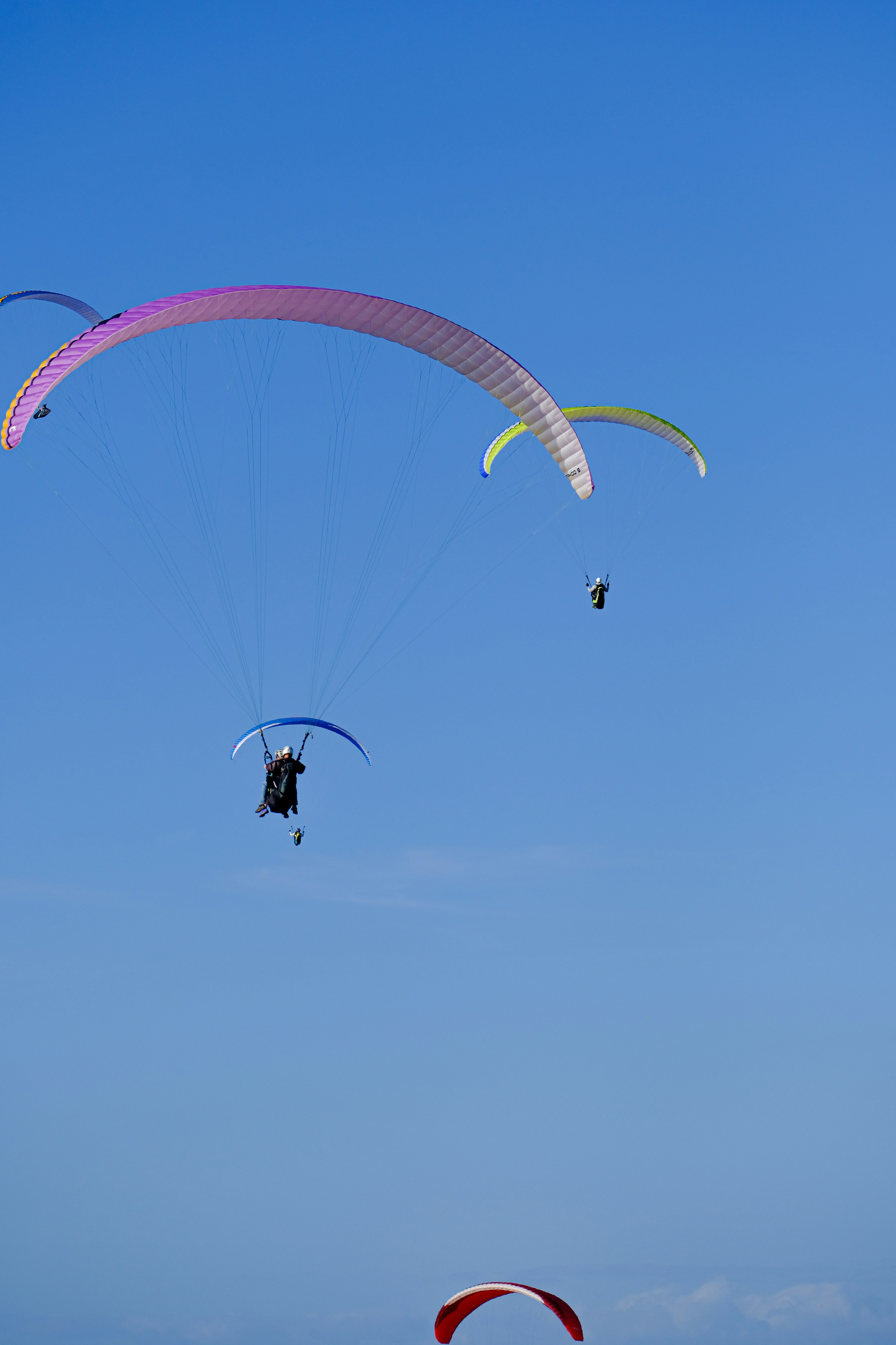 Photo by cestmoisheedy