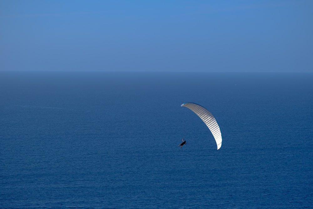 a parasailer in the middle of a large body of water