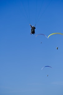 A group of paragliders soaring in the blue sky.