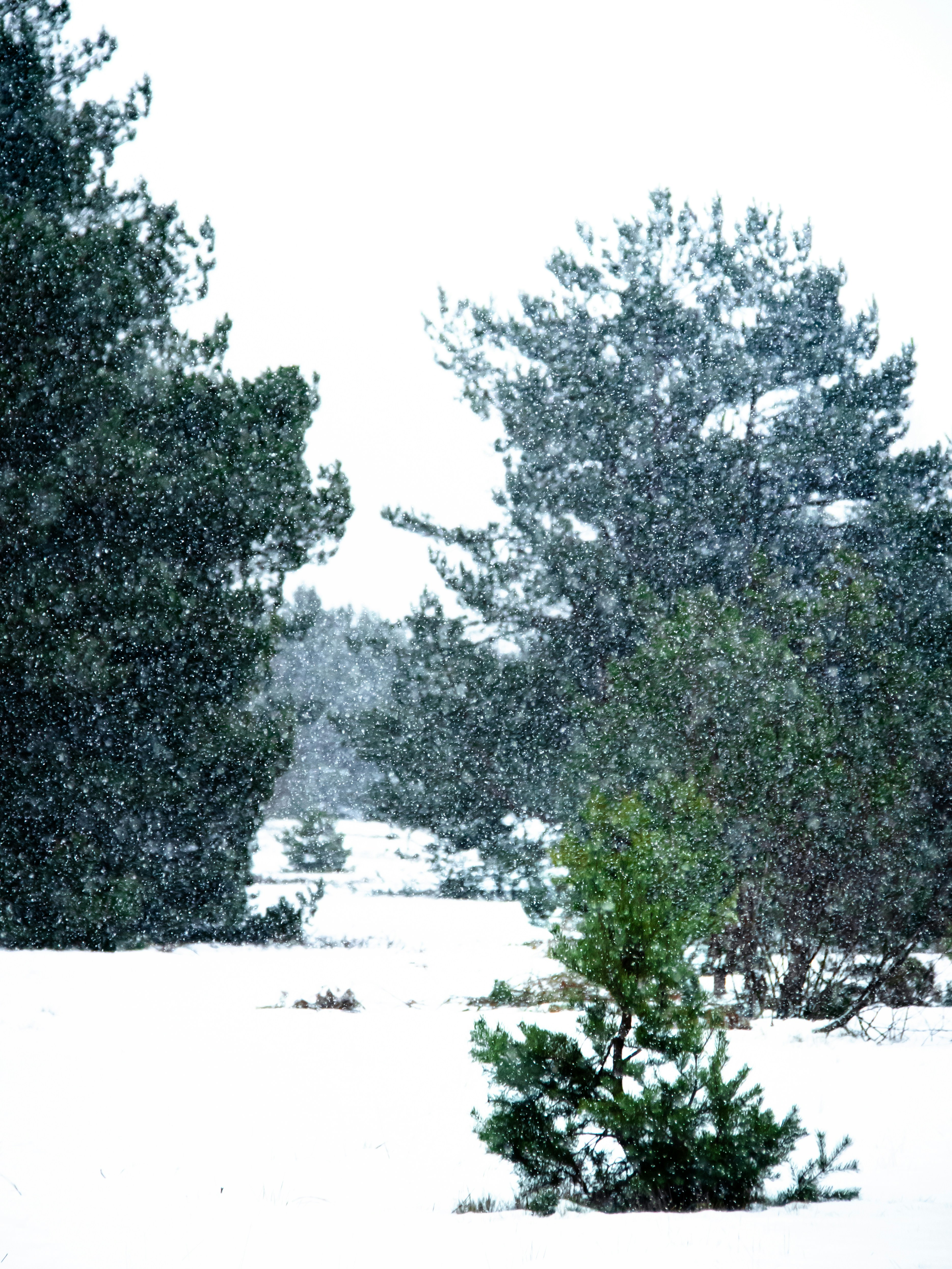 Photo by damiankarpinski_photo