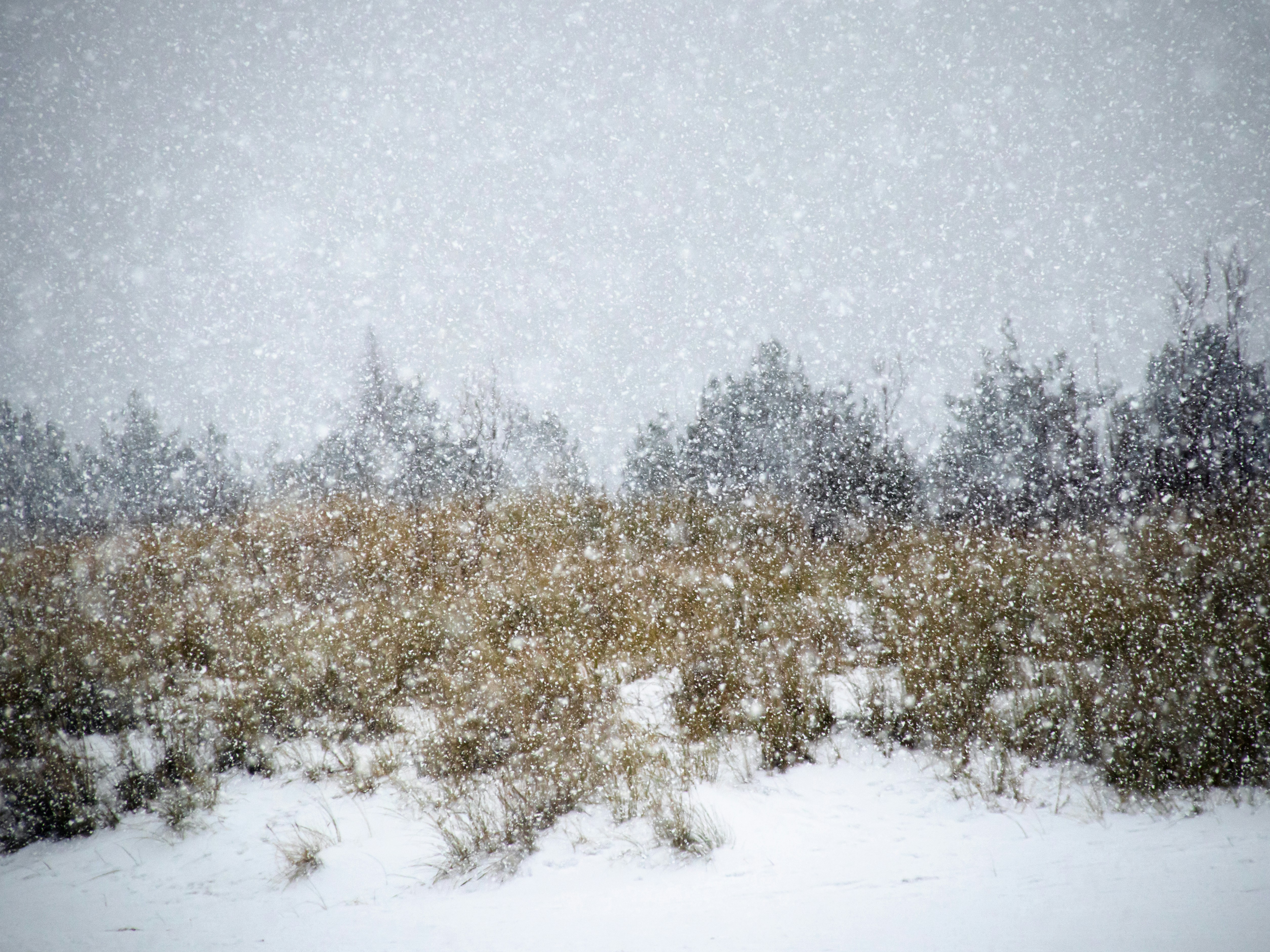 Photo by damiankarpinski_photo