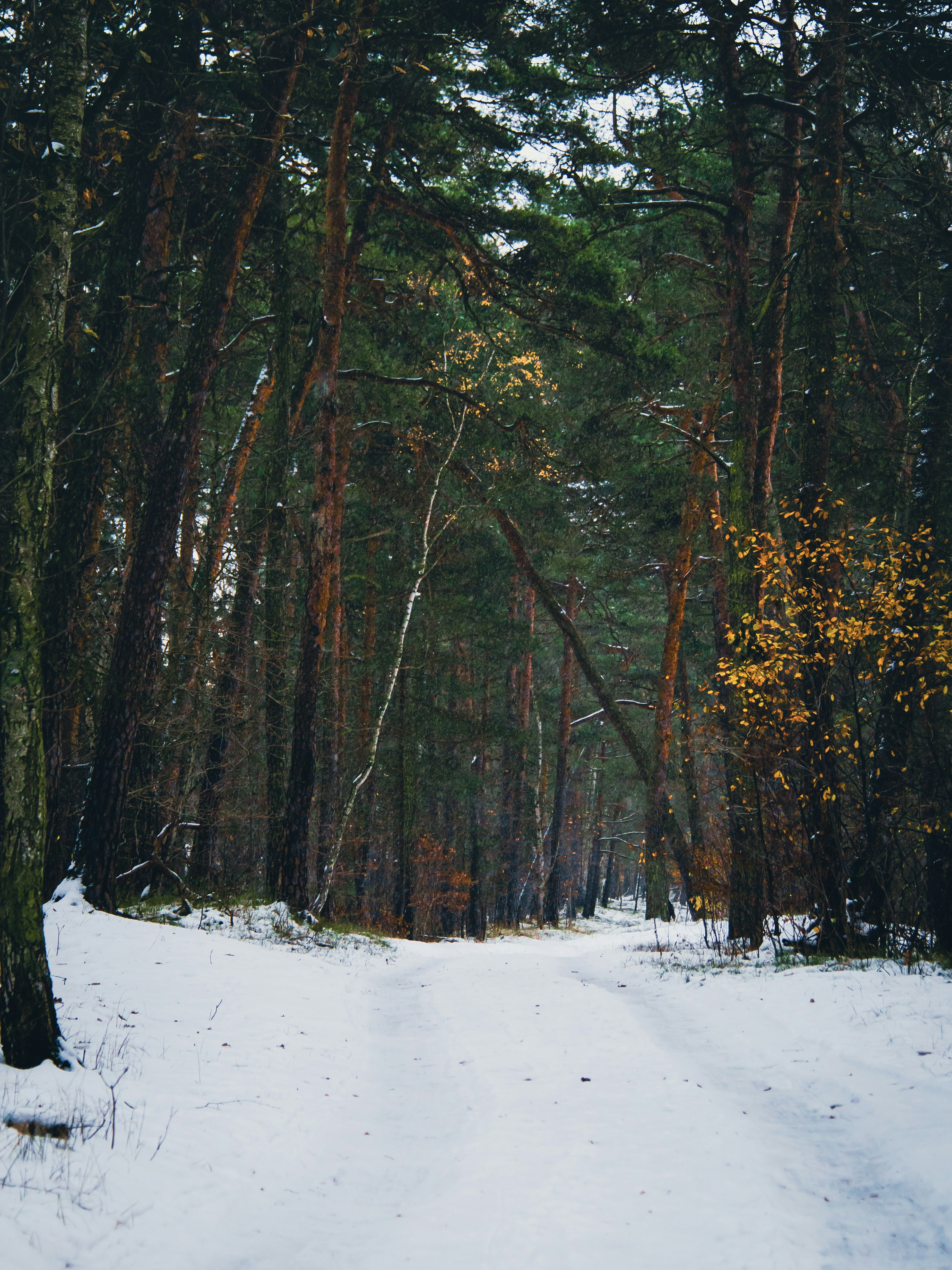 Photo by damiankarpinski_photo