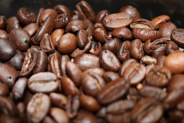 A sketch showing various coffee bean varieties.