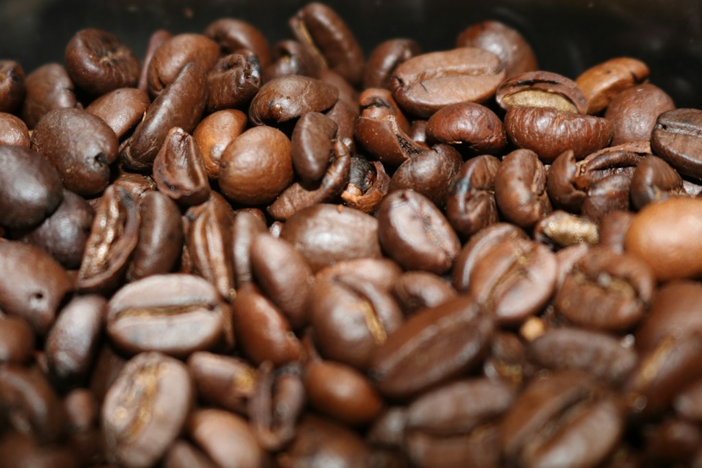 Farmer’s Select Beans