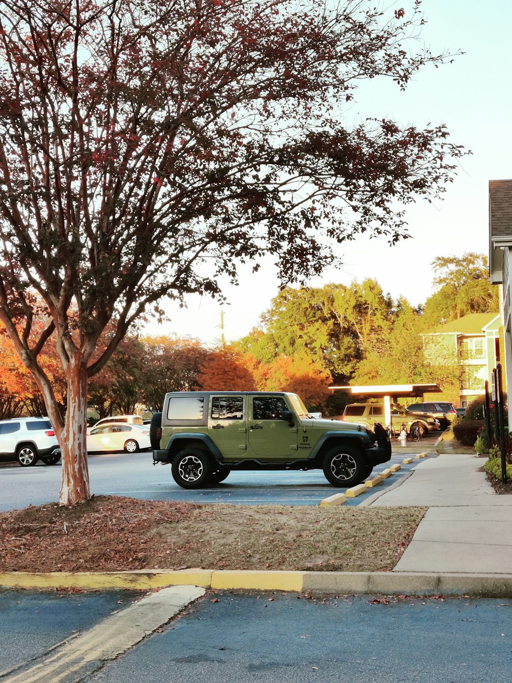 a green jeep parked in a parking lot next to a tree