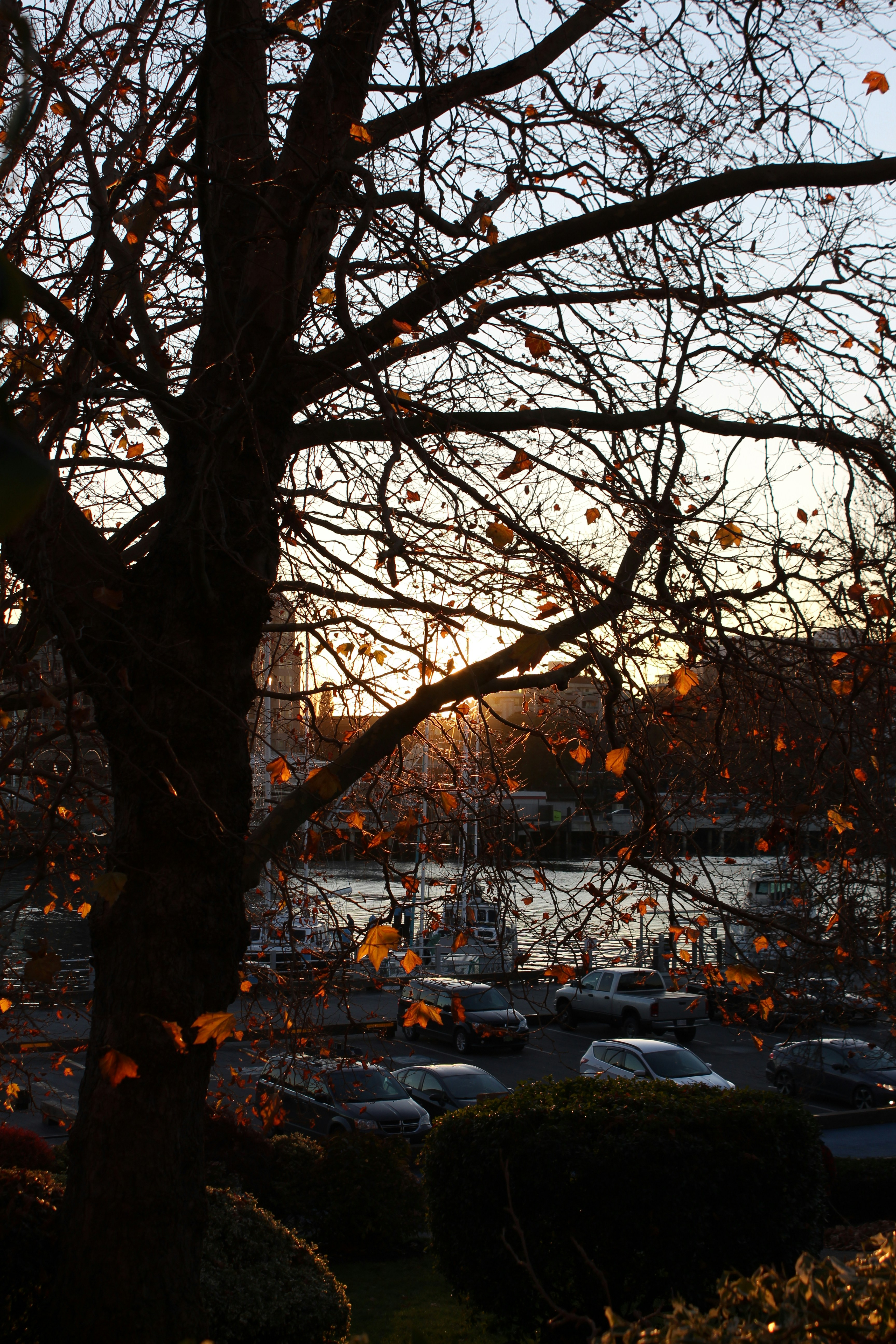 Photo by framesofritu