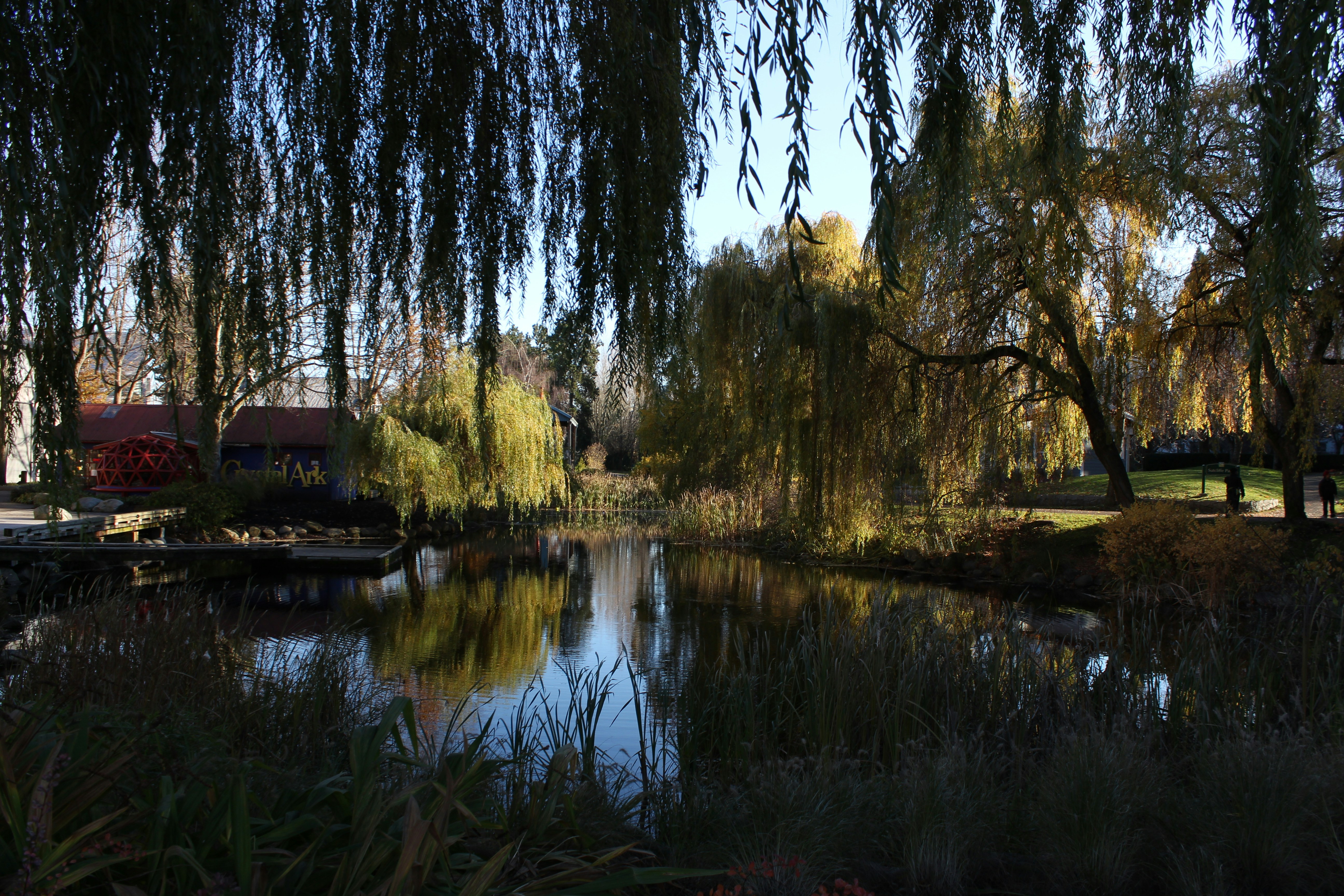 Photo by framesofritu