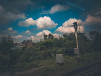 A railway signal stands next to a lush, green area with various trees and shrubs. A clear, vibrant sky with scattered clouds forms the backdrop. Adjacent to the signal is a small electrical box, with train tracks visible in the foreground.