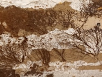 An abstract artwork with a textured surface featuring earthy tones of brown and beige. The image includes intricate patterns resembling tree branches or roots, creating an organic and natural aesthetic.