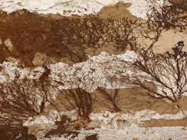 Abstract nature-inspired artwork blending earthy tones and organic shapes.