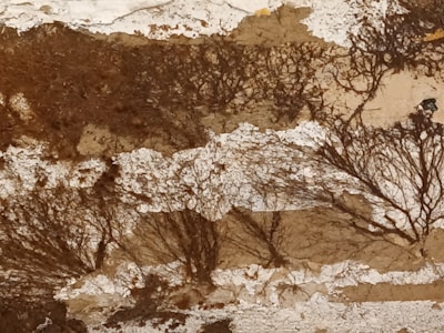 An abstract artwork with a textured surface featuring earthy tones of brown and beige. The image includes intricate patterns resembling tree branches or roots, creating an organic and natural aesthetic.