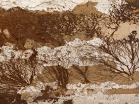 An abstract artwork with a textured surface featuring earthy tones of brown and beige. The image includes intricate patterns resembling tree branches or roots, creating an organic and natural aesthetic.