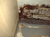 Close-up of mold removal process on a damp wall