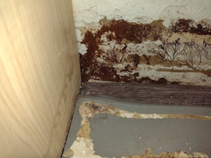 A close-up view of a section of an interior corner, where a wooden surface meets another wall. There appears to be significant dark brown mold or mildew growth covering portions of a peeling, textured surface. The area looks aged and deteriorated, with various shades of brown and beige.