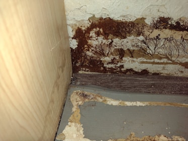 A close-up view of a section of an interior corner, where a wooden surface meets another wall. There appears to be significant dark brown mold or mildew growth covering portions of a peeling, textured surface. The area looks aged and deteriorated, with various shades of brown and beige.