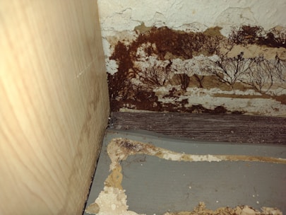 A close-up view of a section of an interior corner, where a wooden surface meets another wall. There appears to be significant dark brown mold or mildew growth covering portions of a peeling, textured surface. The area looks aged and deteriorated, with various shades of brown and beige.