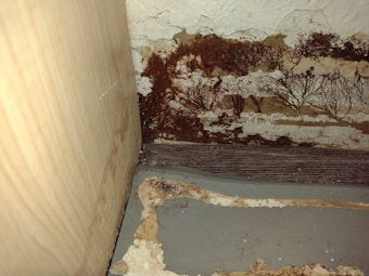 A close-up view of a section of an interior corner, where a wooden surface meets another wall. There appears to be significant dark brown mold or mildew growth covering portions of a peeling, textured surface. The area looks aged and deteriorated, with various shades of brown and beige.