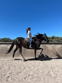 A person is riding a dark brown horse in an outdoor arena with a clear blue sky above. The rider, dressed casually in a white shirt and jeans, is seated confidently as the horse moves at a trot. In the background, there is a concrete wall and some greenery, which suggests a controlled environment for horseback riding.
