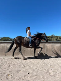 An intermediate rider practicing dressage in a fenced outdoor arena under clear skies.