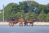 An elegant carriage decorated for a countryside parade, drawn by Sumatambo horses.