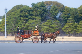 A traditional horse-drawn carriage being driven along a road with two horses leading it. The carriage is adorned with ornate decorations, and the driver is dressed in formal attire. Surrounding the scene are lush green trees, providing a natural backdrop.