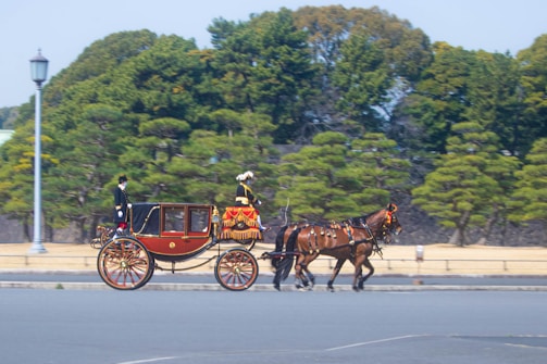A team of Percheron horses pulling a traditional carriage.