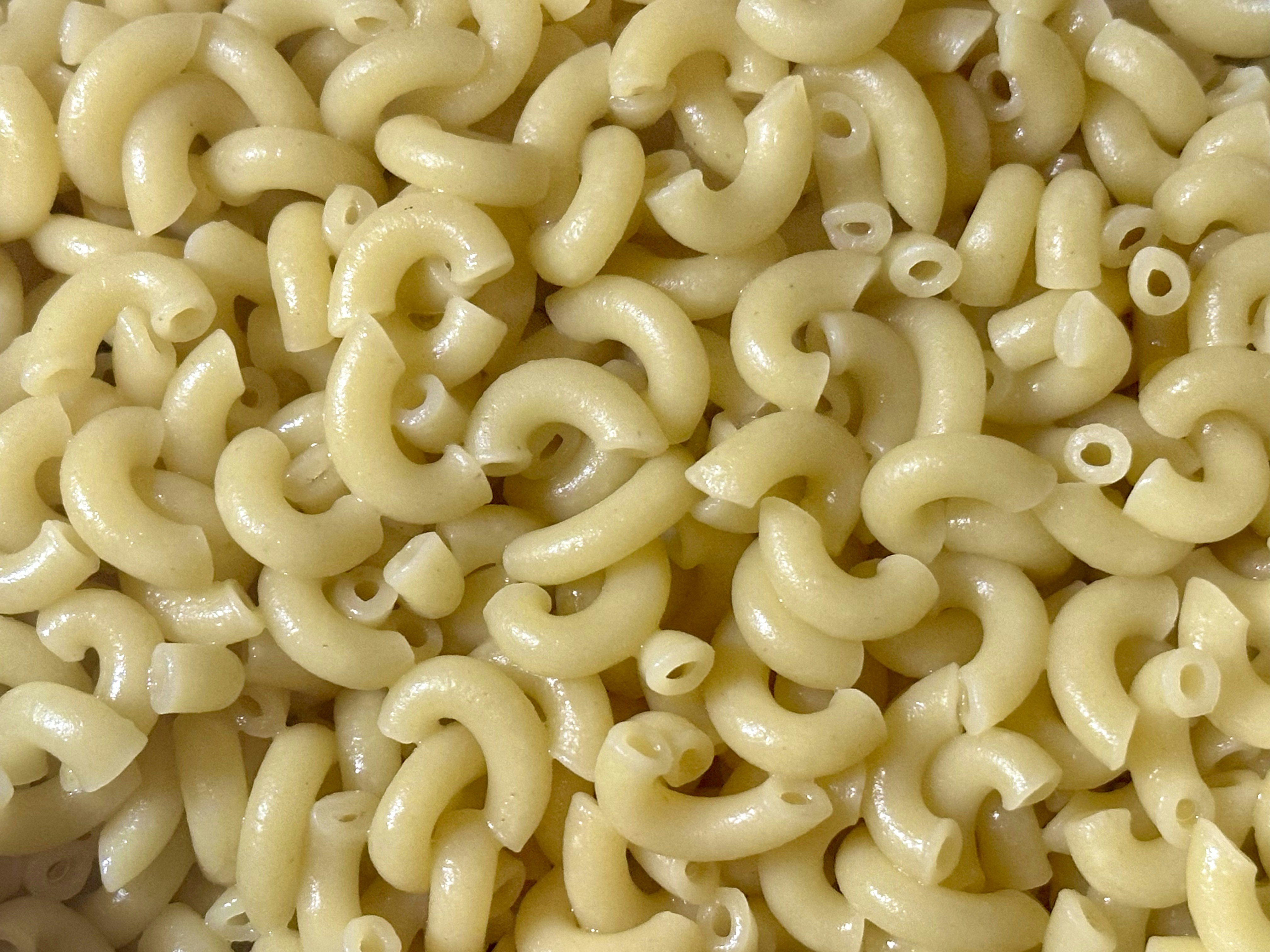 Delicious Pasta for Every Meal