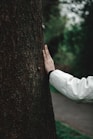 a person in a white jacket hugging a tree