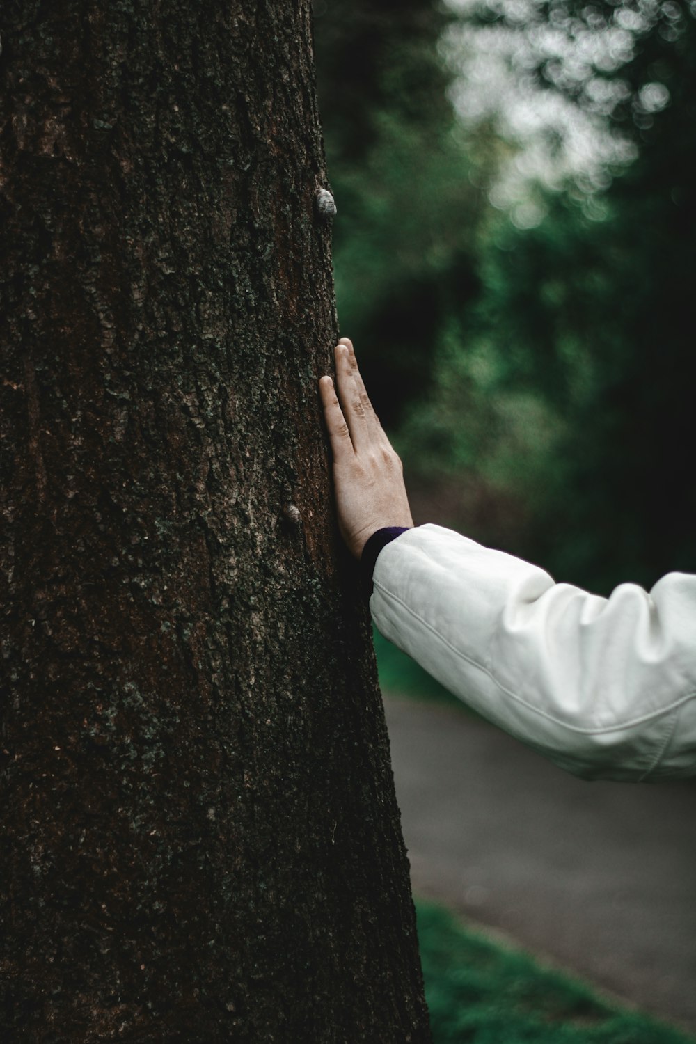 a person in a white jacket hugging a tree