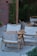 A wooden outdoor seating area consists of folding chairs with white fabric and a matching wooden table. The seating is arranged on a stone or concrete surface, bordered by white pebbles. In the background, there is a red brick wall and lush green bamboo plants providing a natural ambiance.