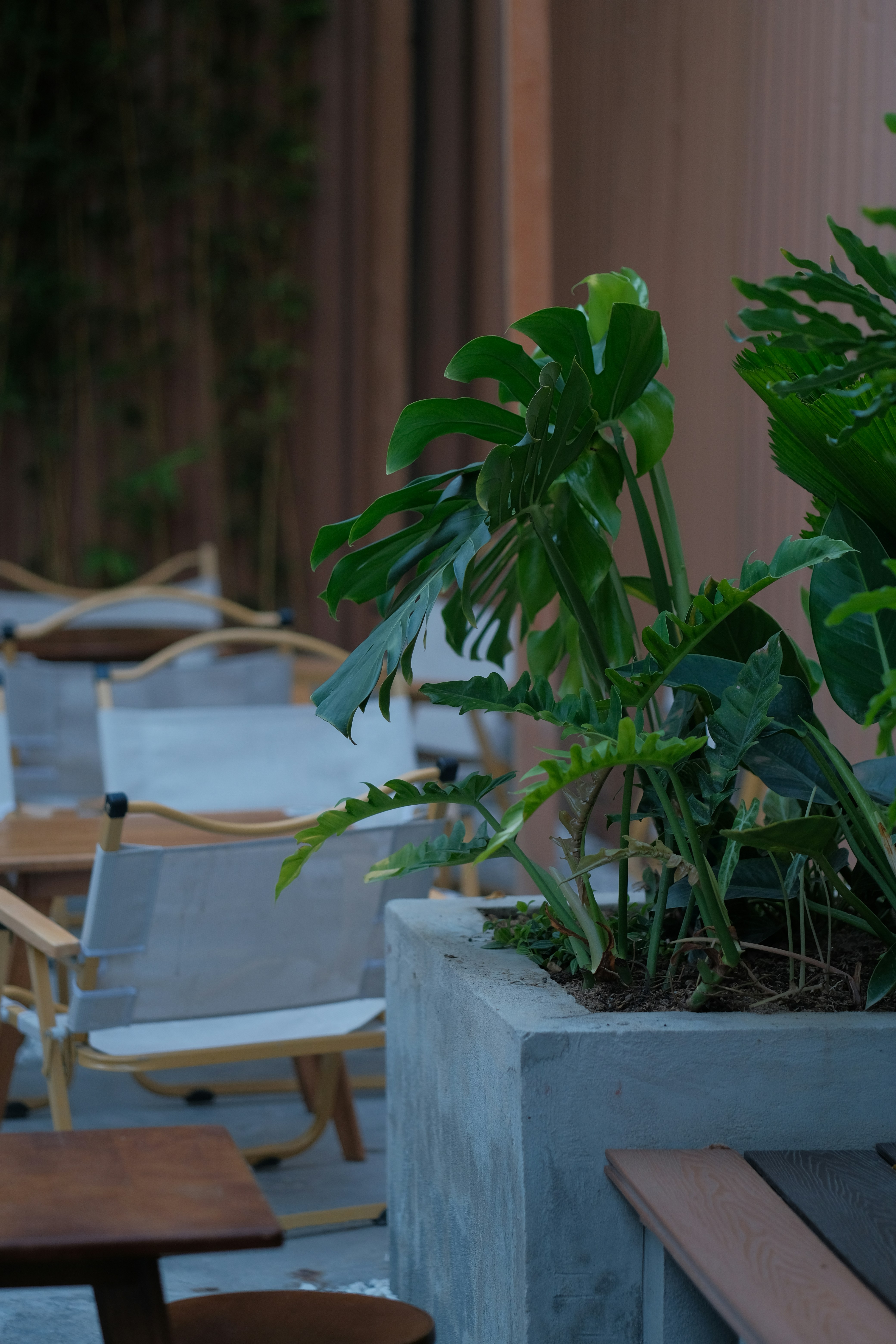 Photo by nguyentrungnguyen