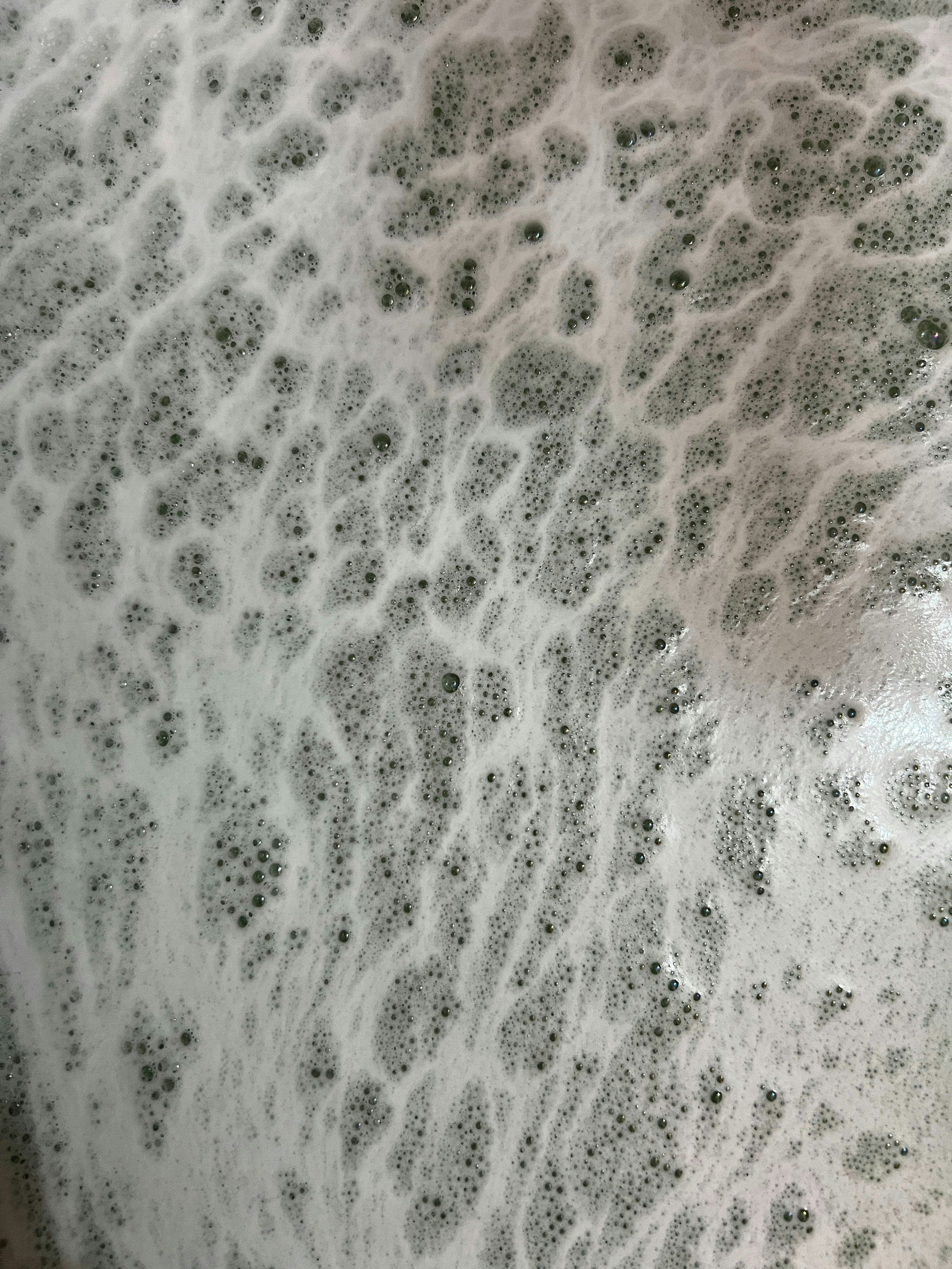 FizzClean Toilet Foam