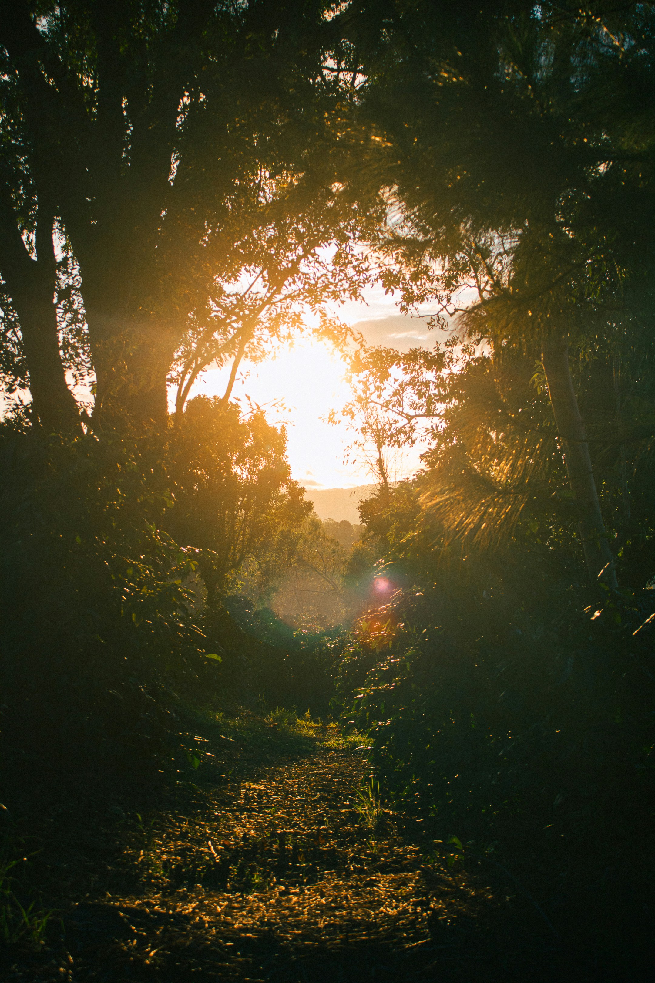 Photo by daniel_castellon20