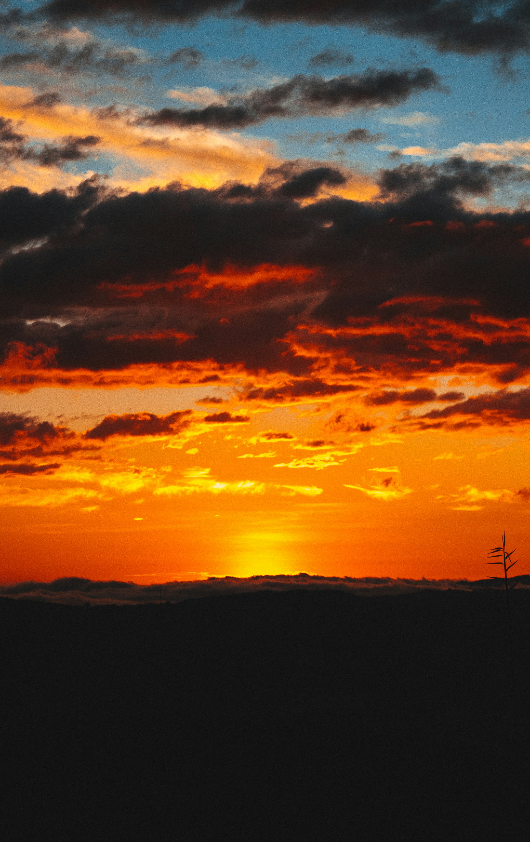 Photo by daniel_castellon20