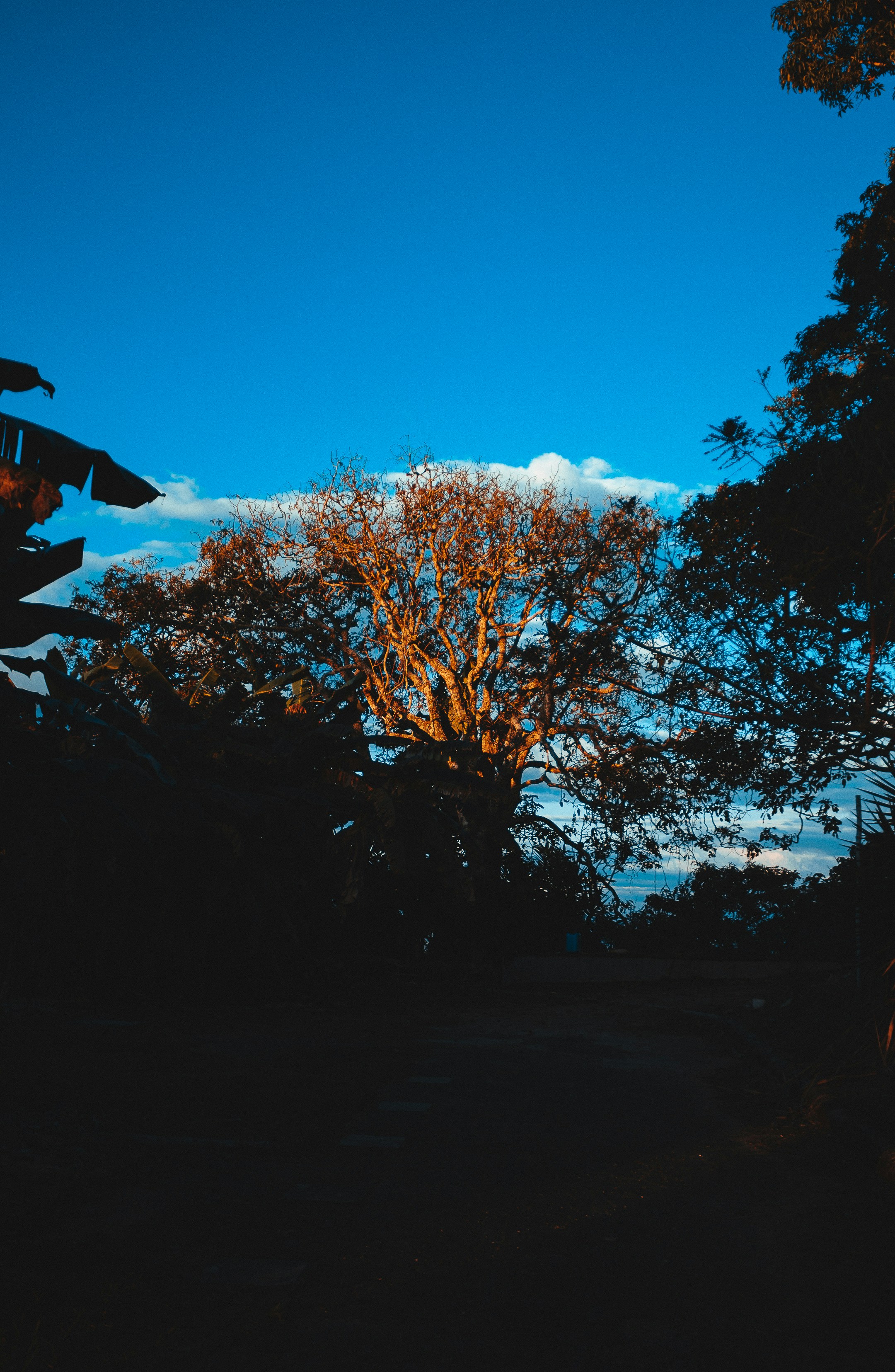 Photo by daniel_castellon20