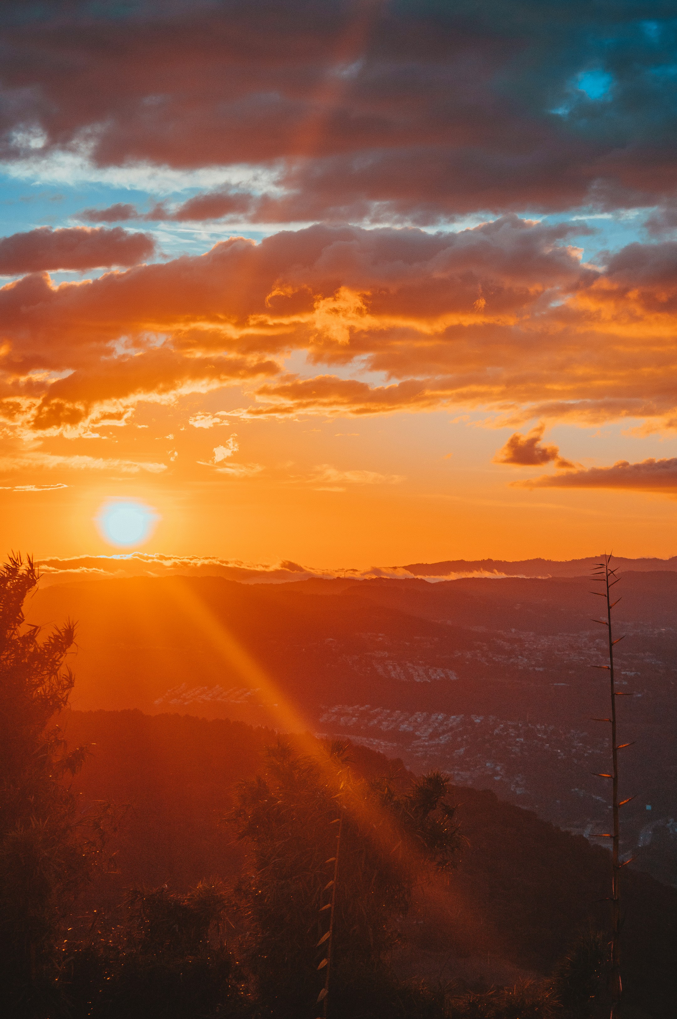 Photo by daniel_castellon20