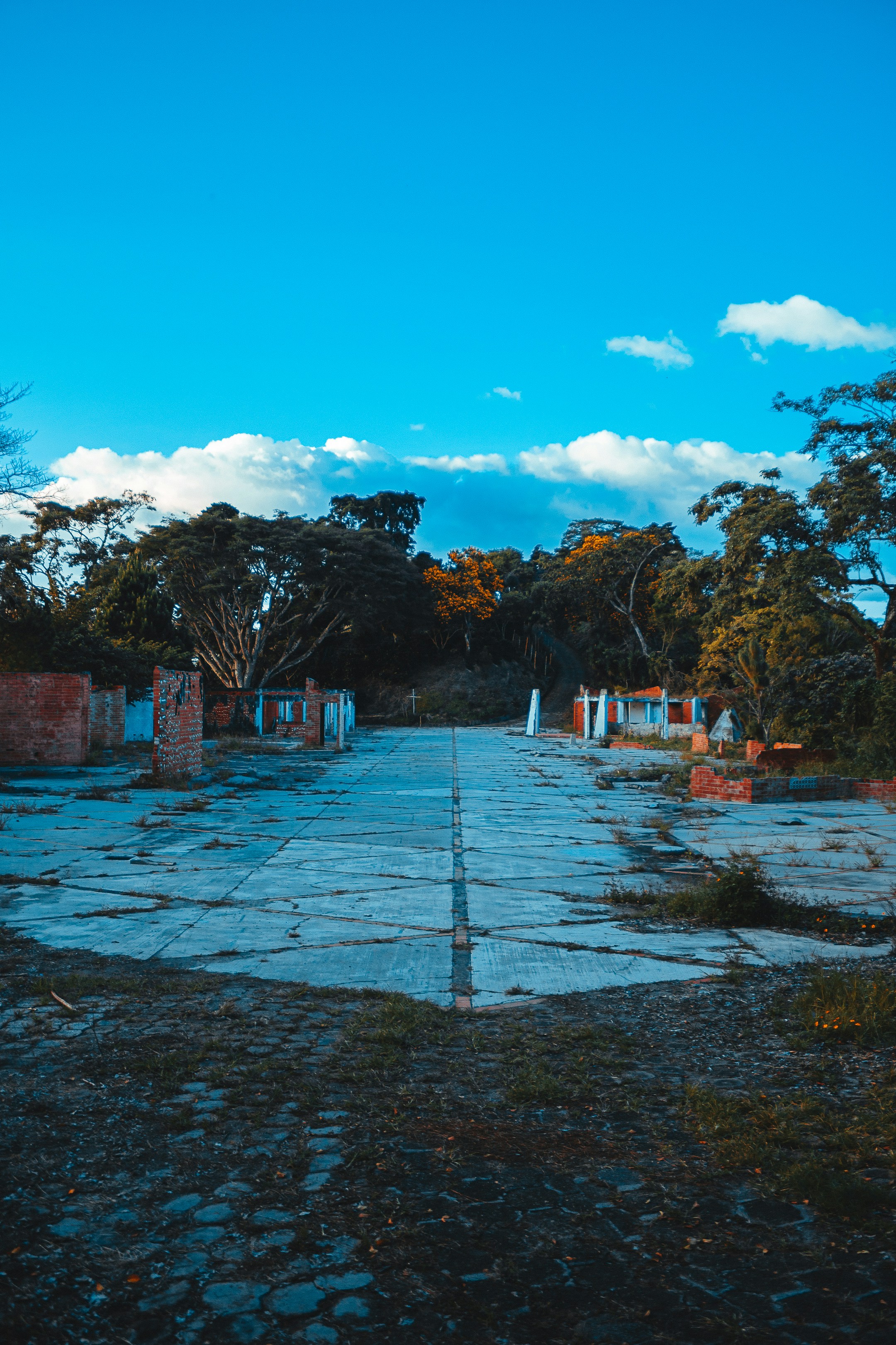 Photo by daniel_castellon20